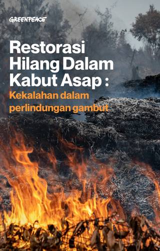 Sampul "Restorasi Hilang Dalam Kabut Asap: Kekalahan dalam perlindungan gambut"