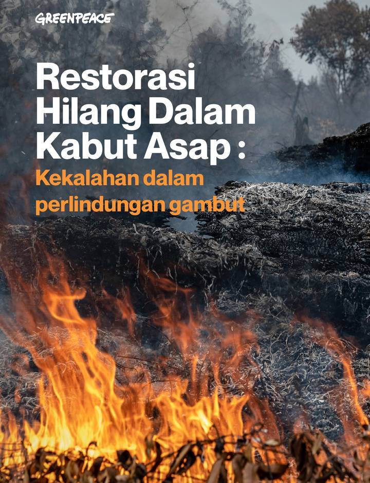 Sampul "Restorasi Hilang Dalam Kabut Asap: Kekalahan dalam perlindungan gambut"