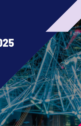 Sampul Ipsos AI Monitor 2025