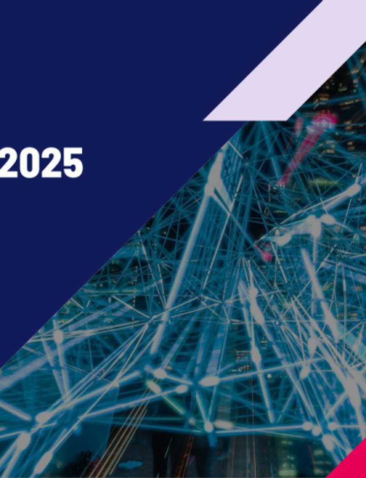 Sampul Ipsos AI Monitor 2025