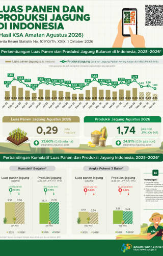 Luas Panen dan Produksi Jagung di Indonesia Agustus 2026