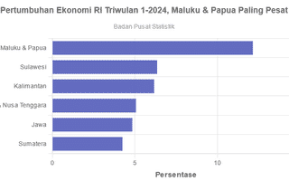 Pertumbuhan Ekonomi RI Triwulan 1-2024, Maluku & Papua Paling Pesat