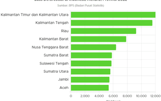 10 Provinsi dengan Angka Deforestasi Tertinggi di Indonesia