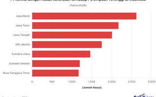 7 Provinsi dengan Kasus Kekerasan Perempuan Tertinggi 2024