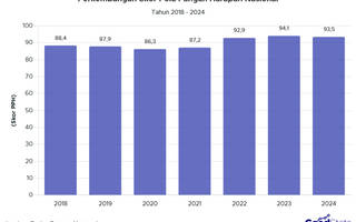 Tren Skor PPH Indonesia 2018–2024, Konsumsi Pangan Naik Signifikan