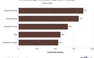 Sumatra dan Kalimantan Dominasi Perusahaan Perkebunan Kelapa Sawit 2024
