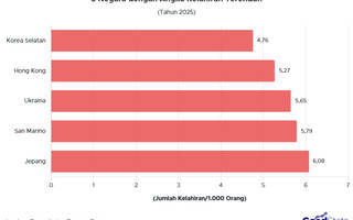Terus Turun, Berikut Negara dengan Angka Kelahiran Terendah 2025