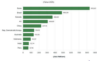 10 Negara dengan Hutan Terluas 2025, Ada Indonesia?