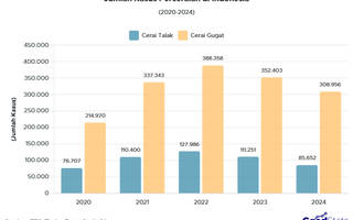 Cerai Gugat Dominasi Kasus Perceraian 2020–2024