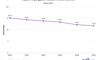 Tingkat Pengangguran Pemuda Indonesia 2020-2025
