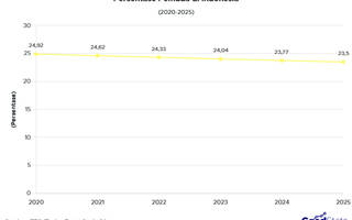 Persentase Pemuda di Indonesia 2020-2025
