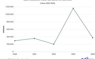 Luas Kebakaran Hutan dan Lahan 2020-2024