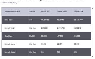 5 Bahan Bakar Terbesar untuk Pembangkit Listrik di Indonesia 2022–2024