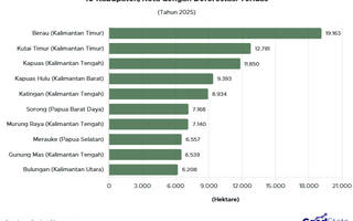 10 Kabupaten dengan Deforestasi Tertinggi 2025, Kalimantan dan Papua Dominasi