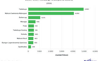 Top 10 Jenis Pohon Pelindung Jakarta 2024, Tabebuya Mendominasi