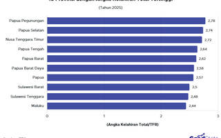 10 Provinsi dengan Angka Kelahiran Tertinggi pada 2025
