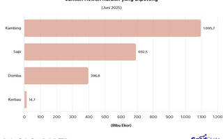 Kambing Jadi Hewan Kurban yang Paling Banyak Dipotong Iduladha 2025