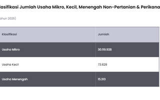 Dari 30,2 Juta UMKM pada 2025, 99,7% Masuk Klasifikasi Mikro