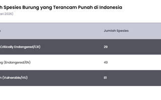 159 Spesies Burung di Indonesia Berstatus Terancam Punah 2026