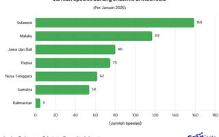 Ada 538 Spesies Burung Endemis di Indonesia 2026