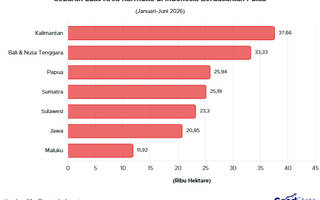 Luas Area Karhutla Indonesia Januari-Juni 2026, Kalimantan Masih Nomor 1!